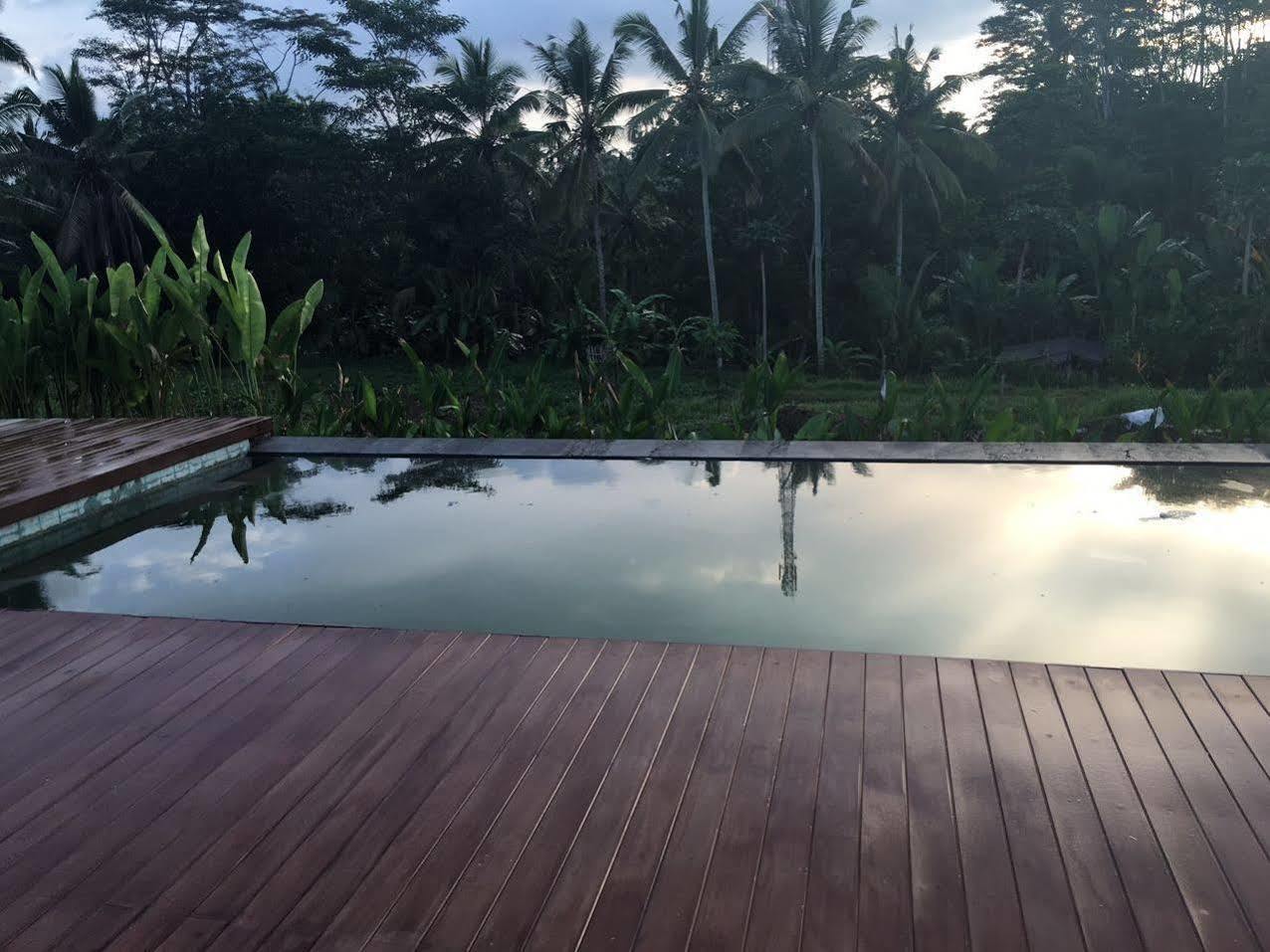 Villa Tegal Tis Ubud Payangan Exteriér fotografie